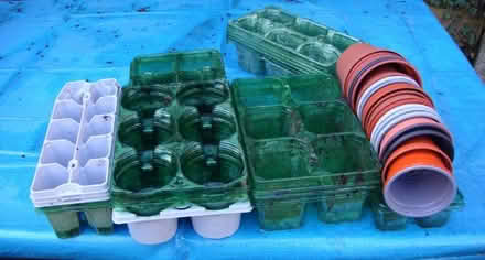 Photo of free plantpots (Sharples BL1) #1