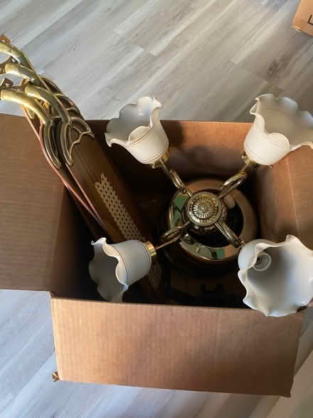 Photo of free Ceiling fan (Rebel Walk Drive) #2