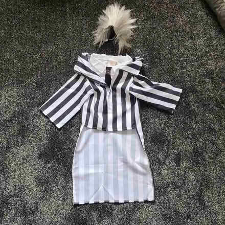 Photo of free Dog fancy dress (Ribbleton PR1) #1