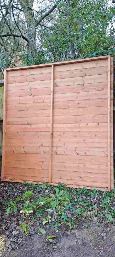 Photo of free Shed Panel (Lower Earley RG6) #1