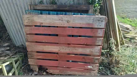 Photo of free box pallet 3 flat pallets eg wood hay store garden (Denmead PO7) #1