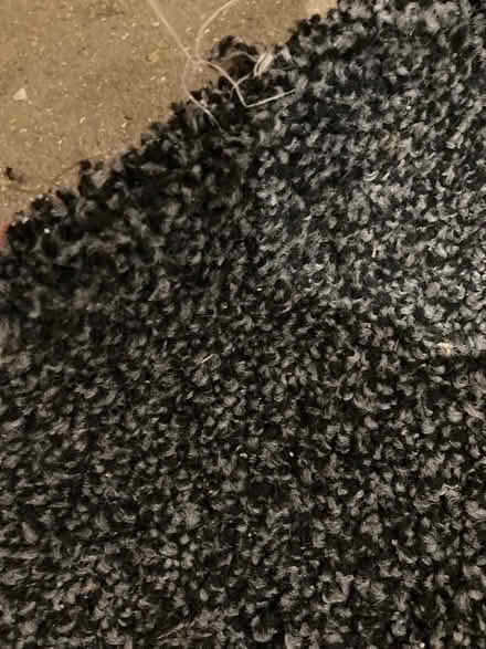 Photo of free Black and white thick pile carpet (Queens Park BH8) #1