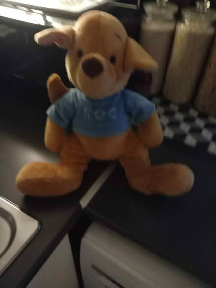 Photo of free Bear (Southfields SW18) #2