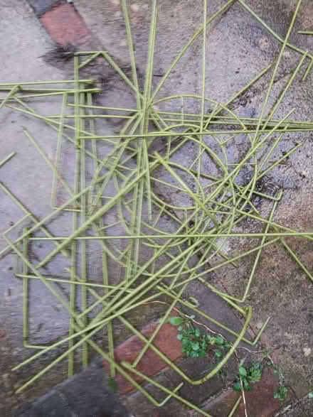 Photo of free Wire plant supports (various) (Cowley OX4) #1
