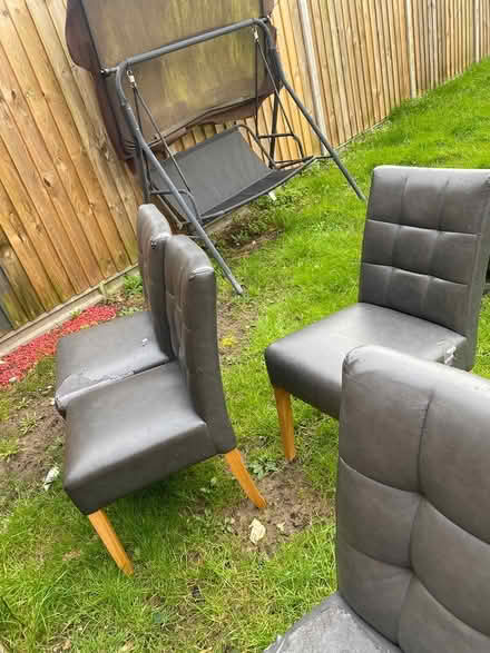 Photo of free Dining chairs x4 (Beeston) #1