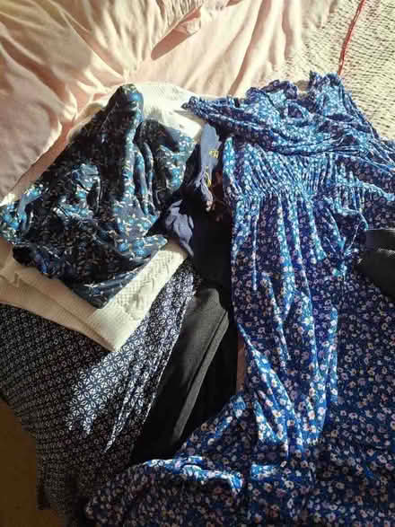Photo of free Size 16 clothes bundle (Leckhampton GL53) #1