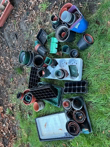 Photo of free Pots and trays (CR4) #3