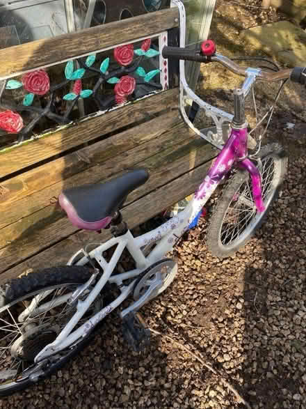 Photo of free bikes take both (Hillsborough) #2