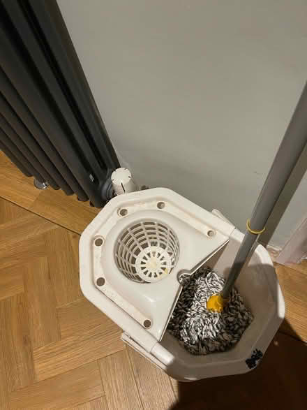 Photo of free Mop and bucket (Leyton) #2