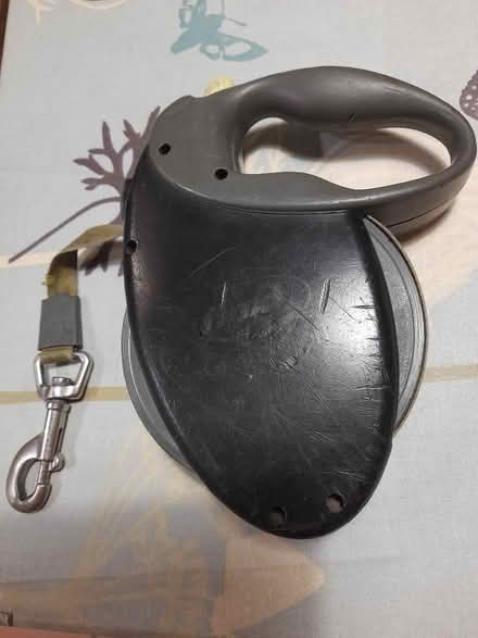 Photo of free Flexi Giant Neon Tape dog lead 8 metres (no longer retracts) (Wokingham RG40) #1