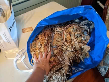 Photo of free Trims (leslieville) #1