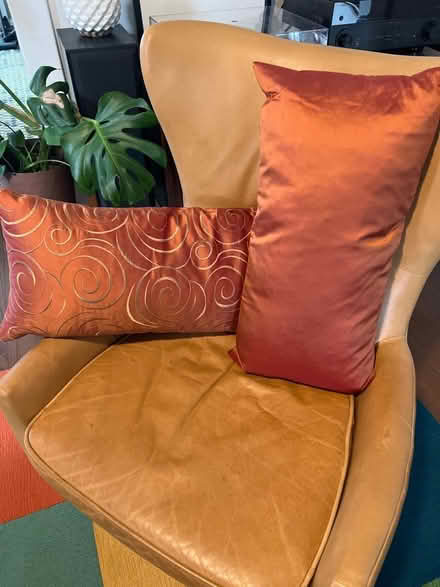 Photo of free Decorative Pillows (Brookland, DC) #2