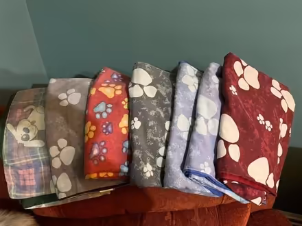 Photo of free Dog bed covers (Nuthall NG16) #1