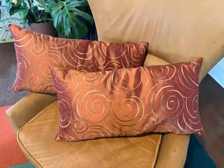 Photo of free Decorative Pillows (Brookland, DC) #1