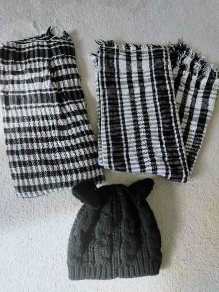 Photo of free 2 scarfs/shawls (unisex) and hat with ears (Bennetts End HP3) #1