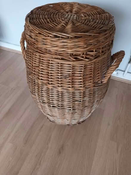 Photo of free Laundry Basket (Bosbury HR8) #2