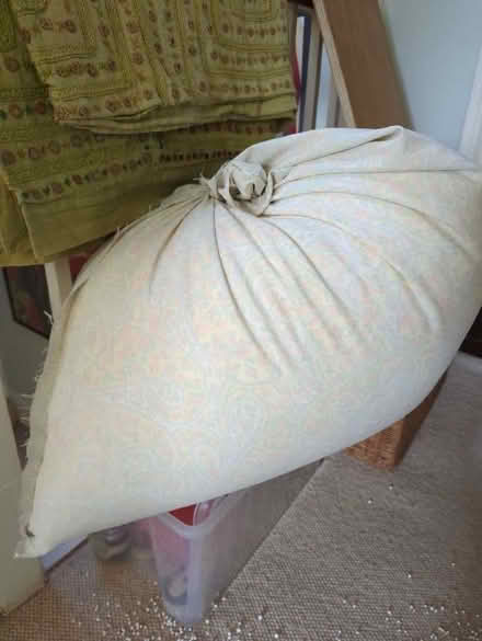 Photo of free Bean bag beans (University Area RG1) #1