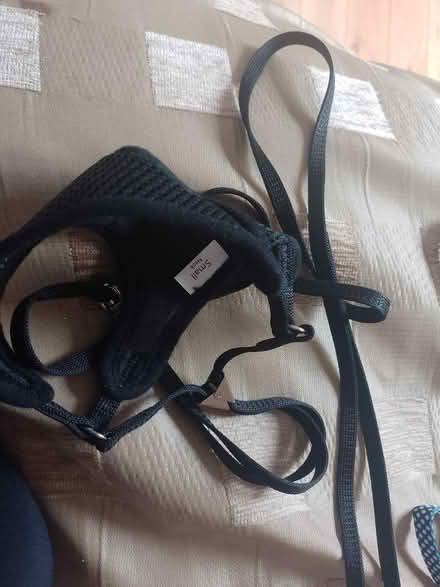 Photo of free Cat harnesses (Wirksworth DE4) #2