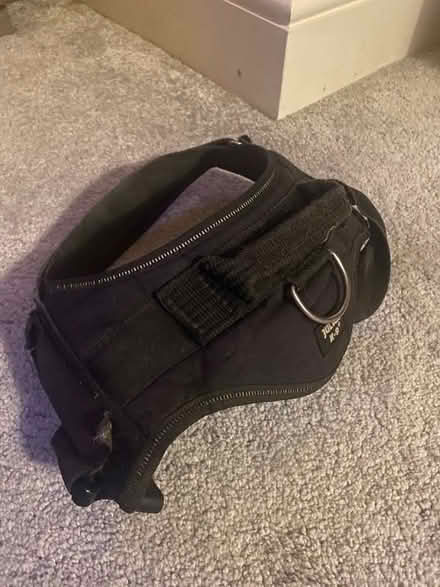 Photo of free Julius K9 Harness (Portsmouth PO2) #1