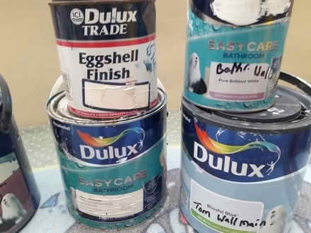 Photo of free Paint (Bradway S17) #1