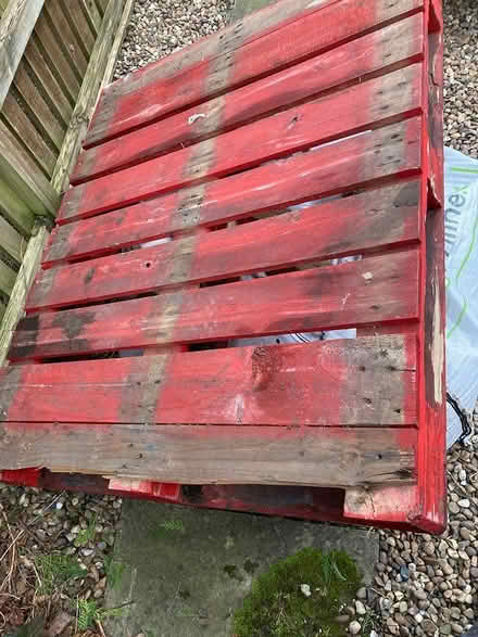 Photo of free Red pallet (Chapel-en-le-Frith SK23) #1