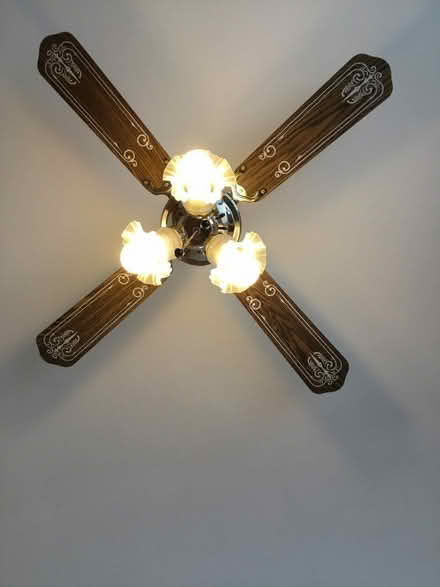Photo of free Large ceiling fan/light (Cudham TN14) #1
