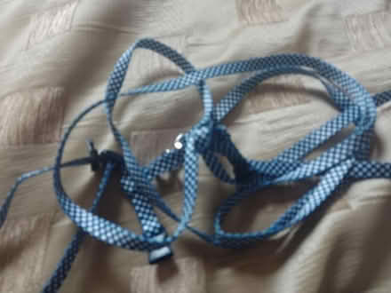 Photo of free Cat harnesses (Wirksworth DE4) #1