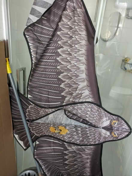 Photo of free Kite (Longlevens, Gloucester) #1