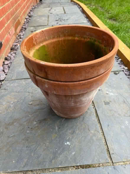 Photo of free Plant pots (SG5) #2