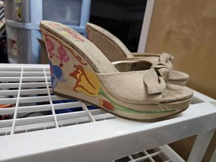 Photo of free Shoes (Silver lake, wi) #3