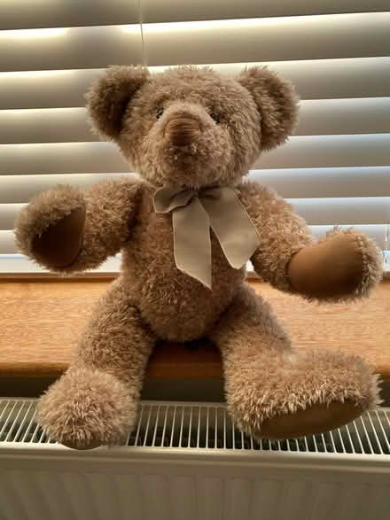 Photo of free Vintage Edition Russ bear (Aldershot) #1