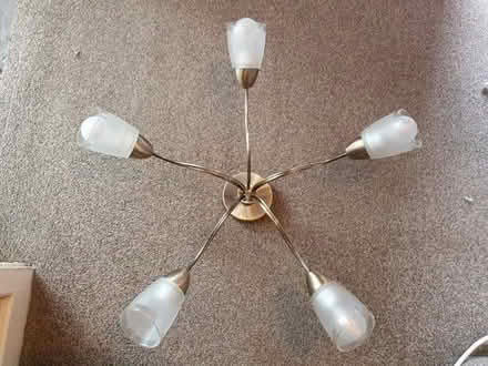 Photo of free Ceiling light fixture (Adeyfield HP2) #1