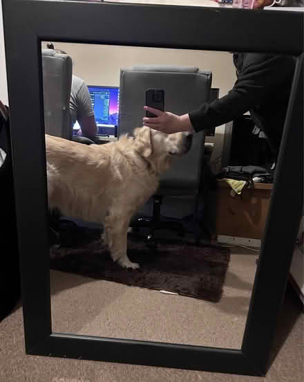 Photo of free Large mirror (Long Eaton, Nottingham.) #1