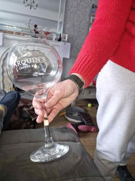 Photo of free 3 x gin glasses (MK15 downhead park) #2