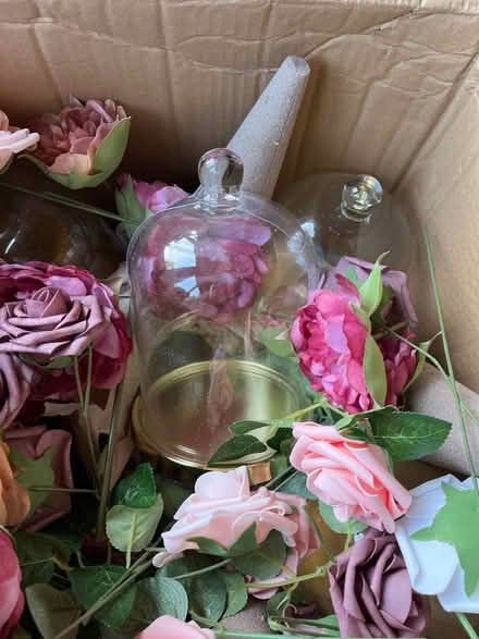 Photo of free Bell jars and flowers (NR10 5) #1