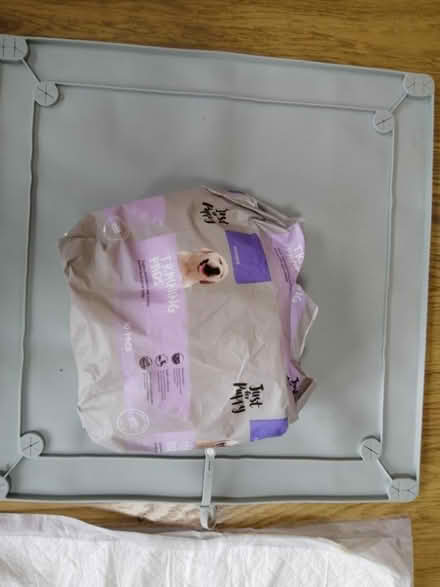 Photo of free Puppy training pads and mat (Epsom KT19) #1