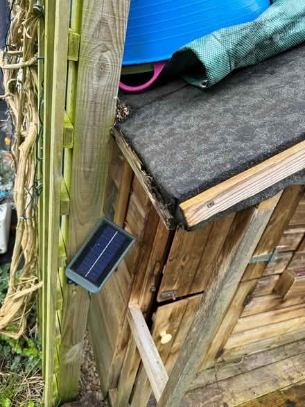 Photo of free Wooden play house (BS6) #1