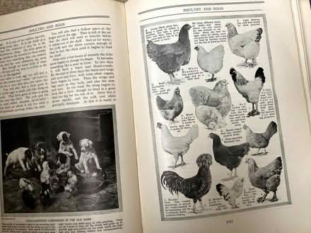 Photo of free 9 x The Wonderful World of Knowledge (Aldrington BN3) #3