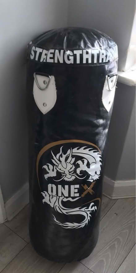 Photo of free Punch bag (Chelmsford) #1
