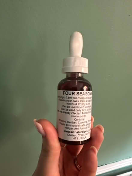 Photo of free All natural pet flea treatment (B14 Kings Heath) #4