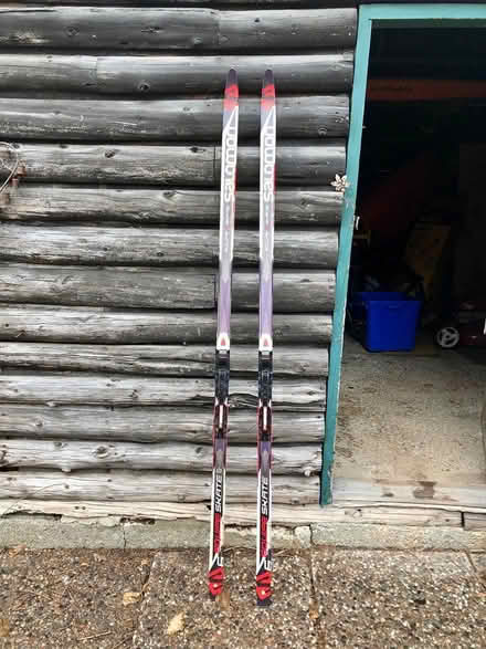 Photo of free skate skis and binding (Westboro (near MEC)) #2