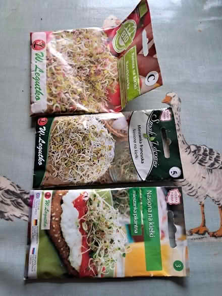 Photo of free 3 packs seeds for sprouting (Melksham forest area) #1