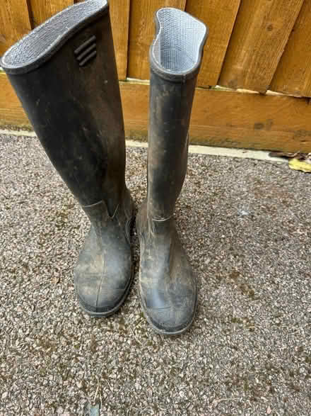 Photo of free Size 3 wellies (SG5) #1
