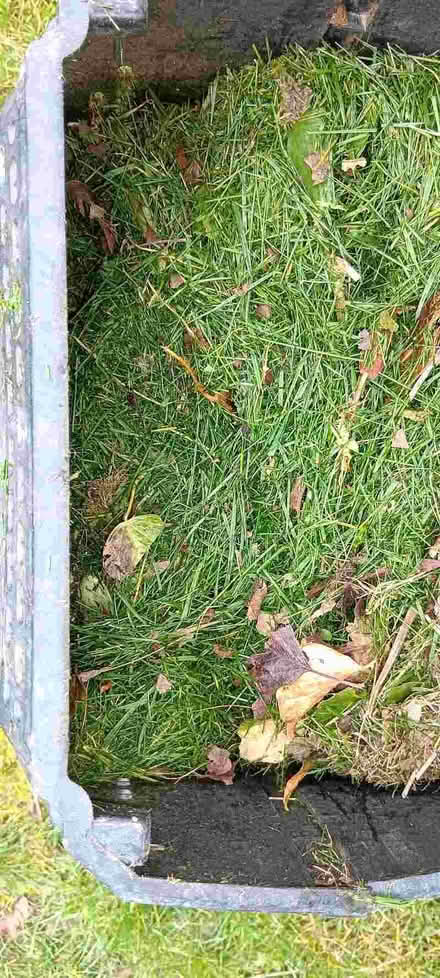 Photo of free Lawn mower (Hala LA1) #4