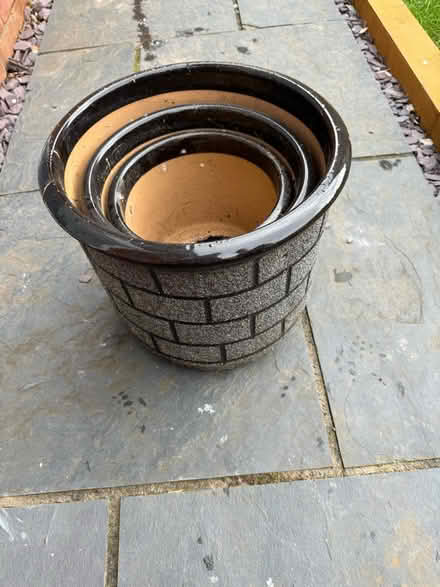 Photo of free Plant pots (SG5) #1