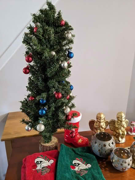 Photo of free Christmas stuff (Hunt Club/Prince of Wales) #3