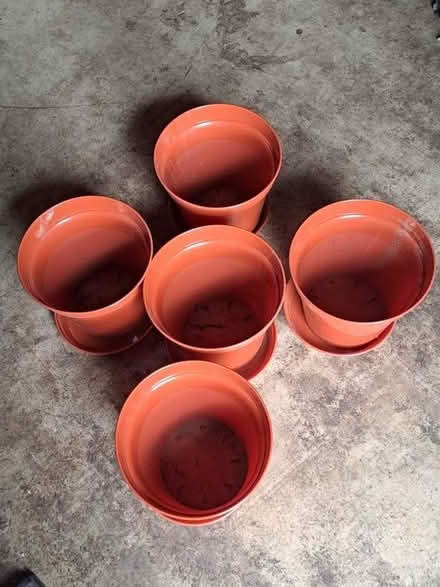 Photo of free Flower pots (Biddestone SN14) #2