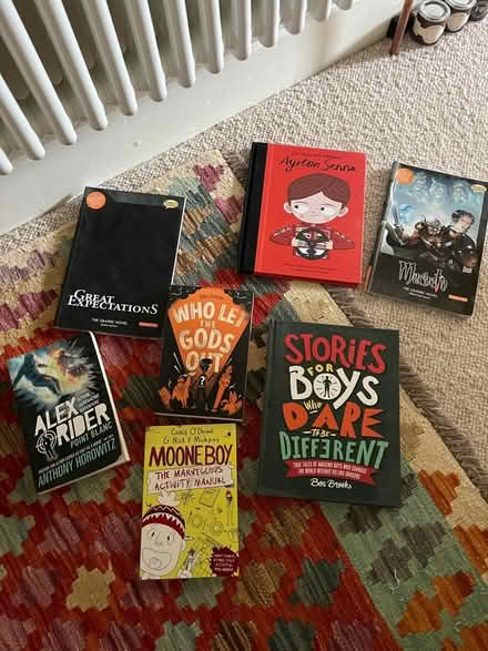 Photo of free Books suitable for older boys/girls (Bear Flat BA2) #2