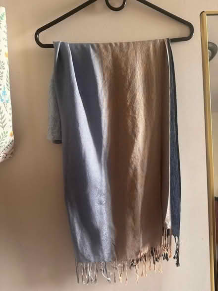 Photo of free Pashmina (11377) #2