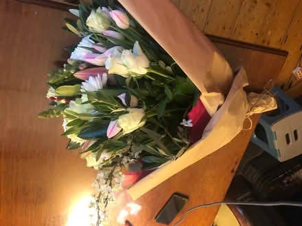 Photo of free Flowers (Harolds cross) #2